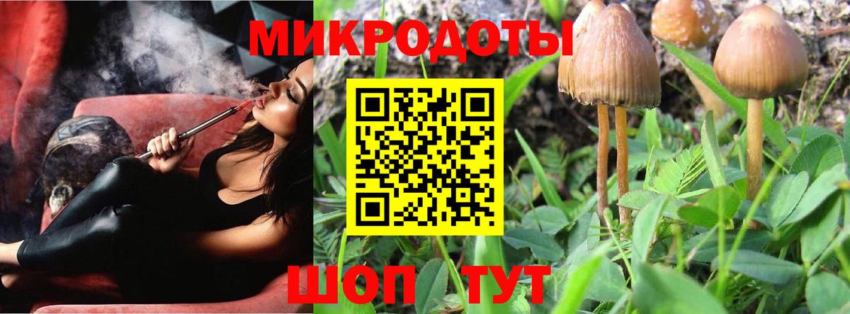 Галлюциногенные грибы Magic Shrooms Самара