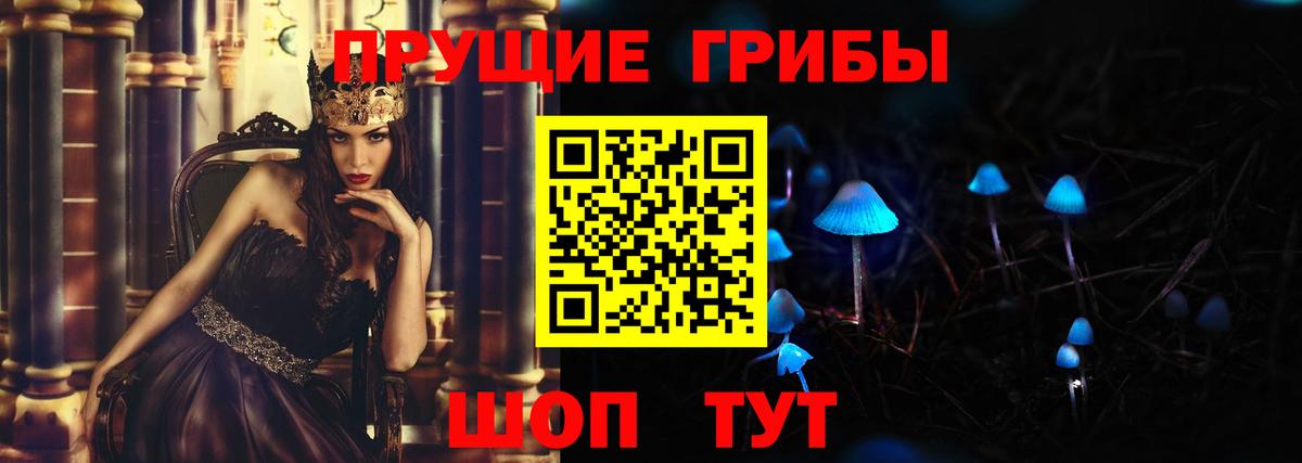 как найти закладки  Галлюциногенные грибы Psilocybe  Вход с VPN  Самара 
